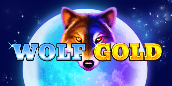 Tips Main Slot Wolf Gold Biar Cepat Cuan
